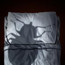 Bed bug shadow on a bed.