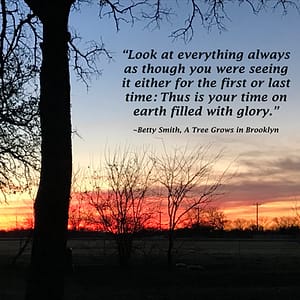 Sunrise photo by Louellen S. Coker with quote from novel.