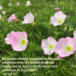 Lovely field of "Buttercups" at Johnson Branch State Park. Photo by Louellen S. Coker.