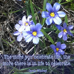 Pretty blue flowers with Oprah Winfrey quote: the more you celebrate life, the more there is in life to celebrate. Photo by Louellen S. Coker